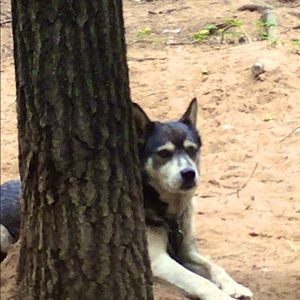 Meet your Posher, Allyson